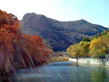 新澳天天开奖资料大全旅游团，卖酒商城